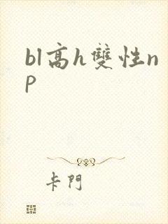 bl高h双性np