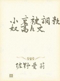 小哀被调教成肉奴高h文封面