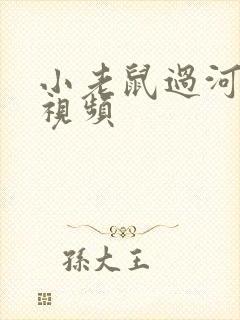 小老鼠过河故事视频封面