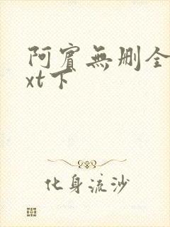 阿宾无删全文txt下
