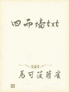四面墙txt