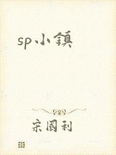 sp小镇封面
