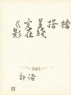 《完美搭档》电影在线