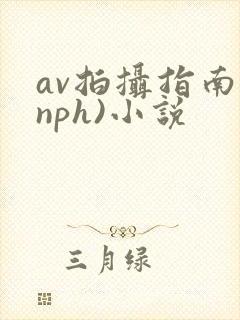 av拍摄指南(nph)小说