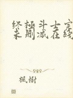 终极斗士完整版未删减在线免费观看