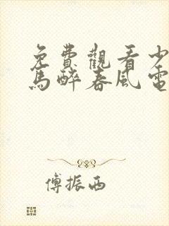 免费观看少年白马醉春风电视剧