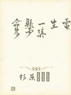 命悬一生电视剧多少集