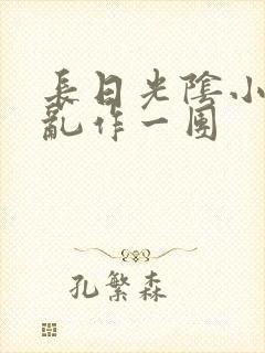 长日光阴小说_乱作一团封面