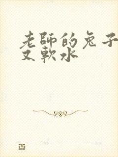 老师的兔子又大又软水