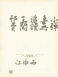 邪王追妻小说免费阅读无弹窗