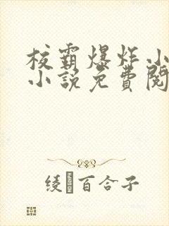 校霸爆炸小漂亮小说免费阅读