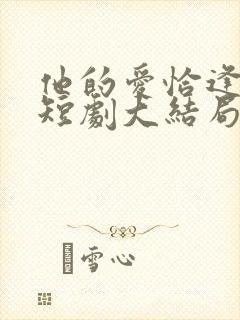 他的爱恰逢其时短剧大结局封面