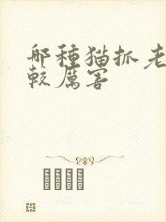 哪种猫抓老鼠比较厉害