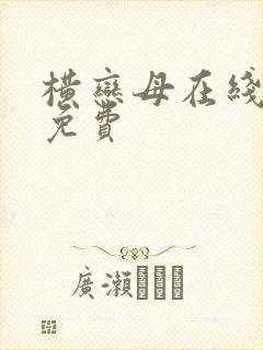 横恋母在线观看免费封面