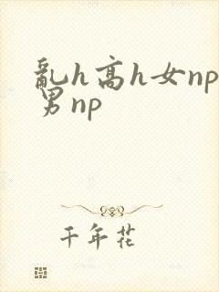 乱h高h女np男np