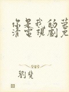 你是我的荣耀高清电视剧免费观看