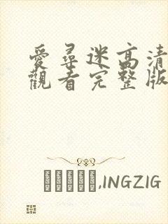 爱寻迷高清在线观看完整版封面