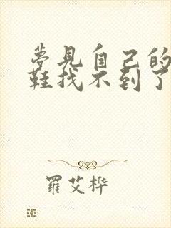 梦见自己的一只鞋找不到了封面