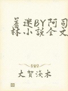 着迷BY阿司匹林小说全文免费阅读