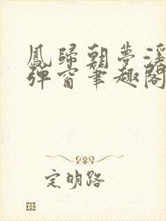 凤归朝梦溪石无弹窗笔趣阁