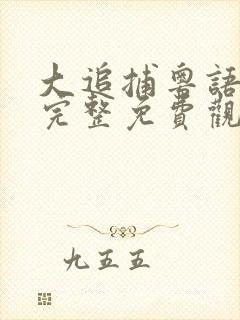 大追捕粤语在线完整免费观看