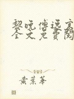 黎晚傅逸寒小说全文免费阅读