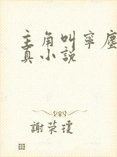 主角叫宁尘的修真小说