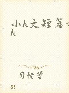 小h文短篇合集h