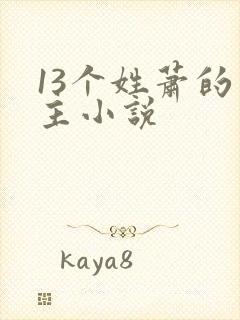 13个姓萧的男主小说