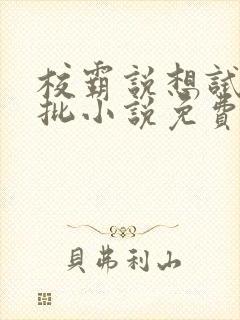 校霸说想试试我批小说免费阅读