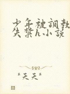 少年被调教爽到失禁h小说封面