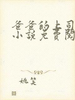 爸爸的上司王叔小说免费阅读封面