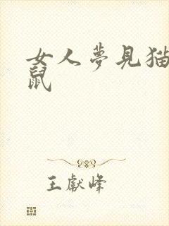 女人梦见猫捉老鼠