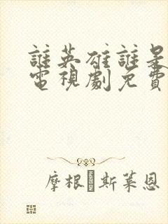 谁英雄谁是英雄电视剧免费观看