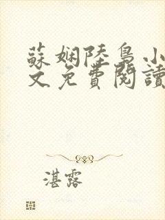 苏娴陆枭小说全文免费阅读封面