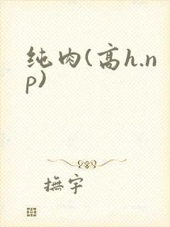 纯肉(高h.np)