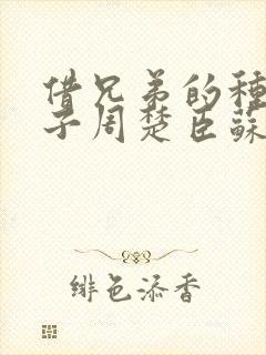 借兄弟的种生孩子周楚臣苏糖