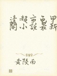 清超市龟甲笔趣阁小说最新章节更新