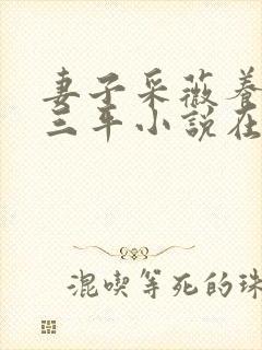 妻子采薇养父陆三平小说在人间