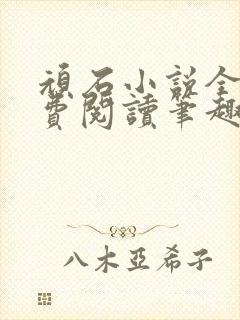 顽石小说全文免费阅读笔趣阁