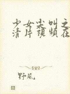 少女尖叫之夜高清片视频在线观看