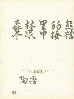 森林里的熊先生冬眠中接档封面