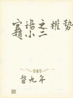 官场之权势巅峰赵小二