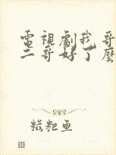 电视剧我哥我嫂二哥好了么?