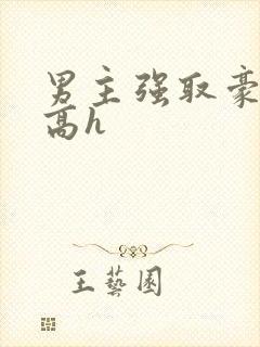 男主强取豪夺 高h封面