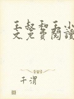 王叔和王小雅全文免费阅读
