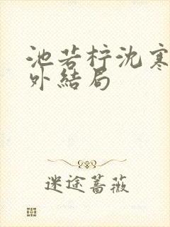 池若柠沈寒声番外结局