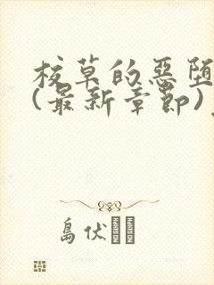 校草的恶堕之路(最新章节)免费阅读