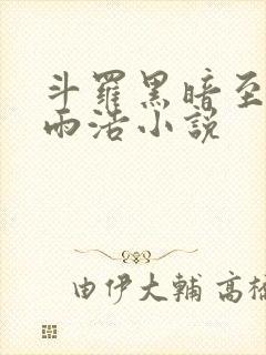 斗罗黑暗至尊霍雨浩小说封面