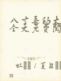 八寸长的大宝贝全文免费阅读封面